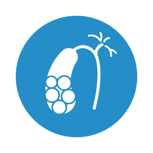 Kidney-and-gall-bladder