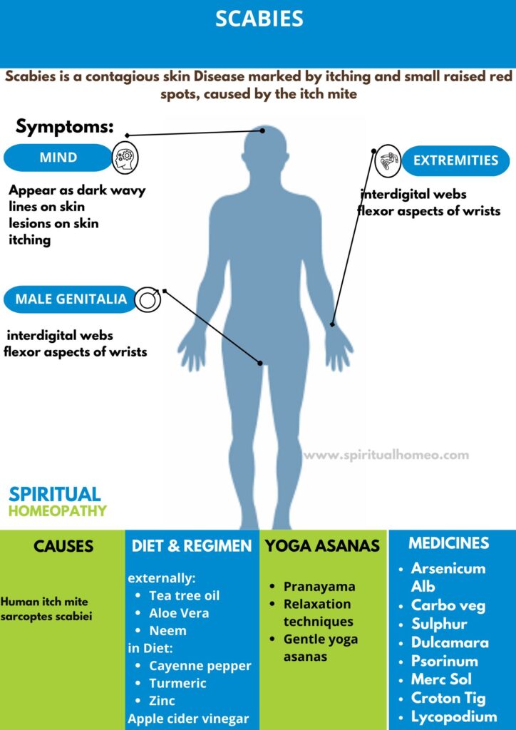 Best Homeopathic Treatment for Scabies in Hyderabad