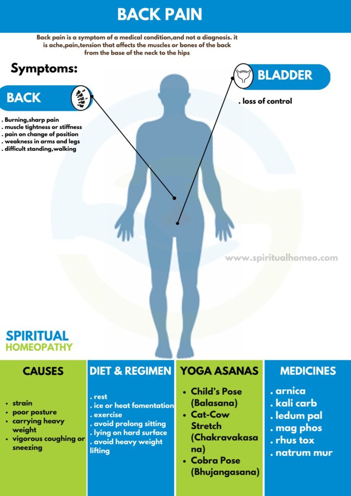 Best Homeopathy Treatment for Back Pain in Hyderabad