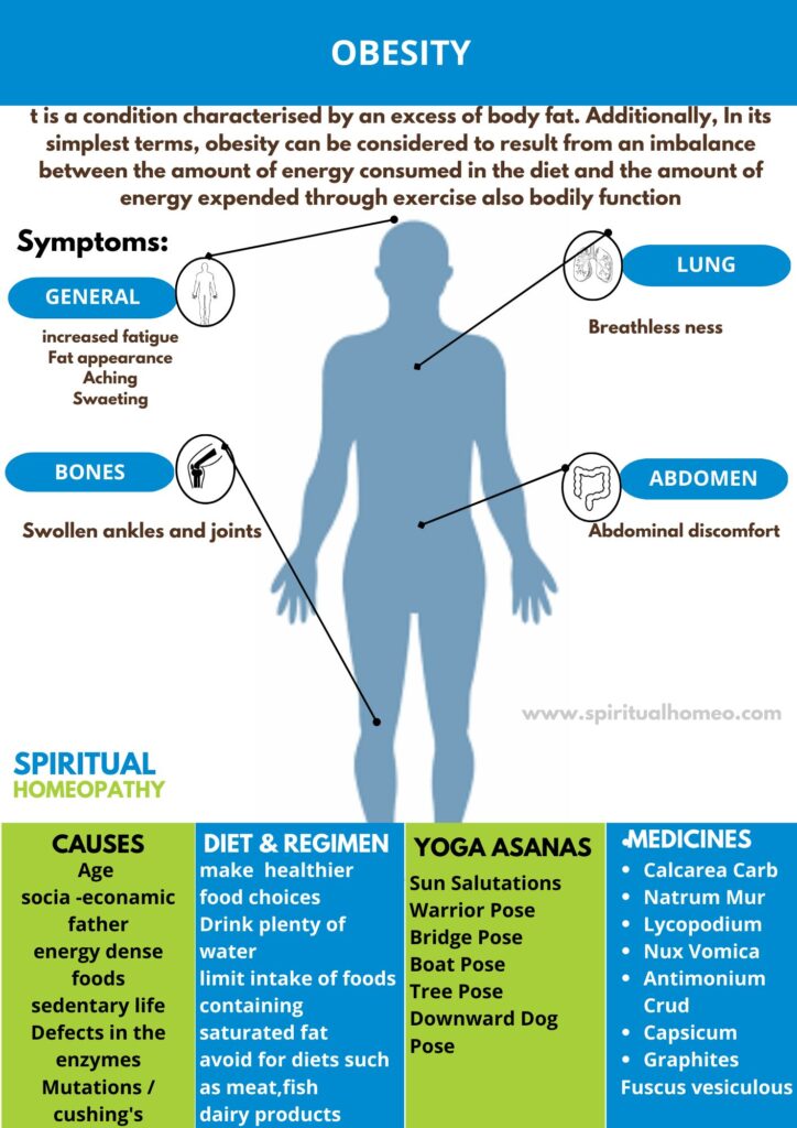 Effective Homeopathic Treatment for Obesity – Top Doctors