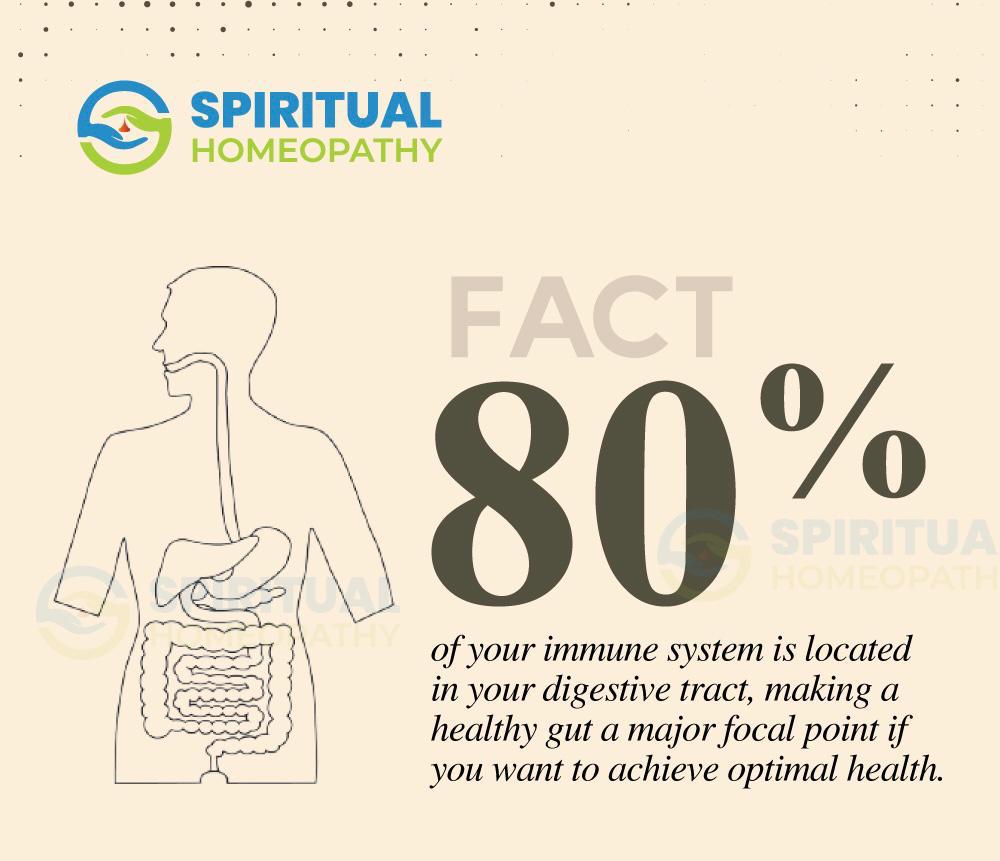How to Choose the Best Homeopathy Doctor in India for Your Needs