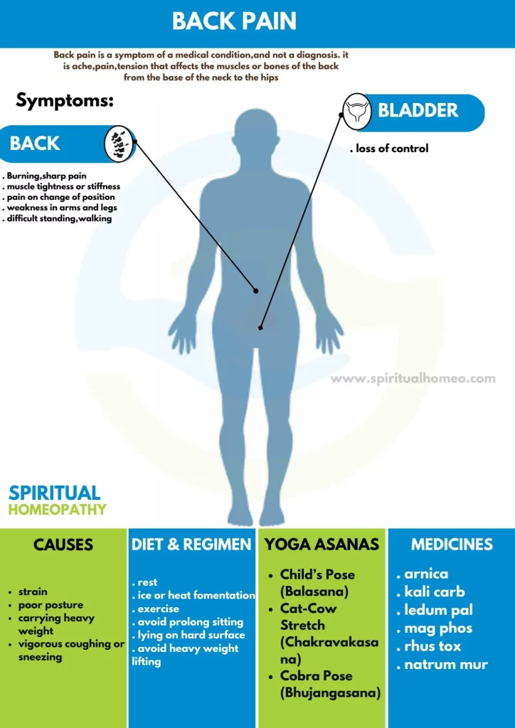 Back-Pain