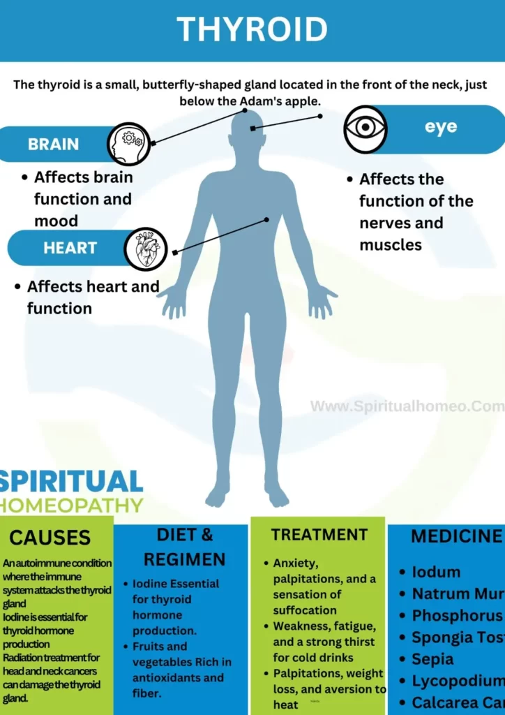 thyroid